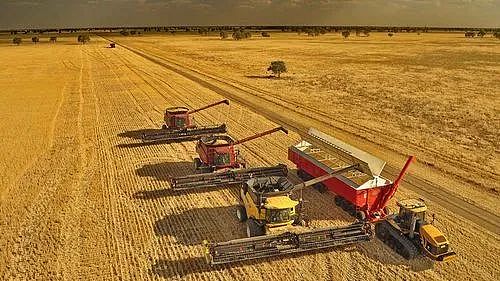 澳洲农民困境揭秘：农产品价值几乎减半，消费者负担越来越重（组图） - 3