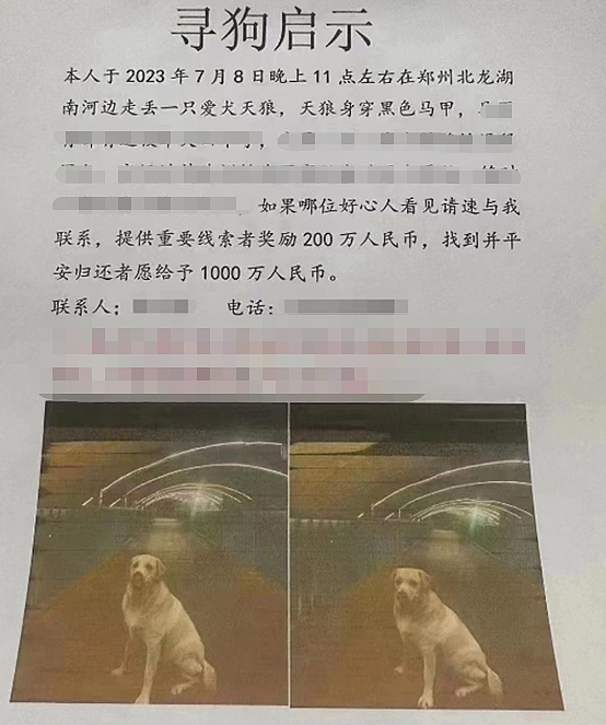 “郑州有人悬赏1000万寻狗”，最新消息：狗已找到，给了5000（视频/组图） - 1