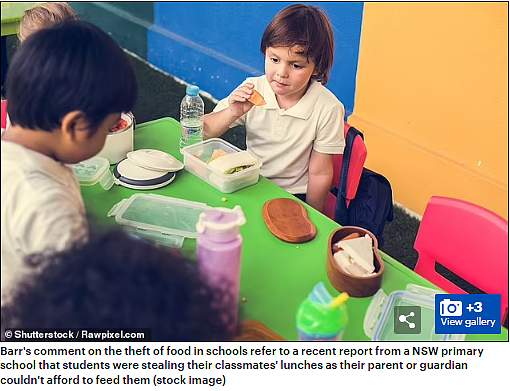 澳洲小学生挨饿偷食物吃！生活危机蔓延校园，多达3000所学校寻求帮助！媒体连线总理...（组图） - 6