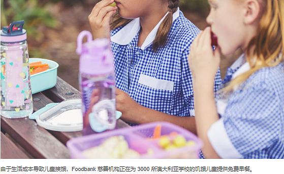 澳洲小学生挨饿偷食物吃！生活危机蔓延校园，多达3000所学校寻求帮助！媒体连线总理...（组图） - 3