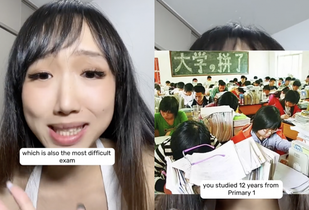 华裔网红谈高考：人生最难！外国网友晒中文完型填空：也难（视频/组图） - 1
