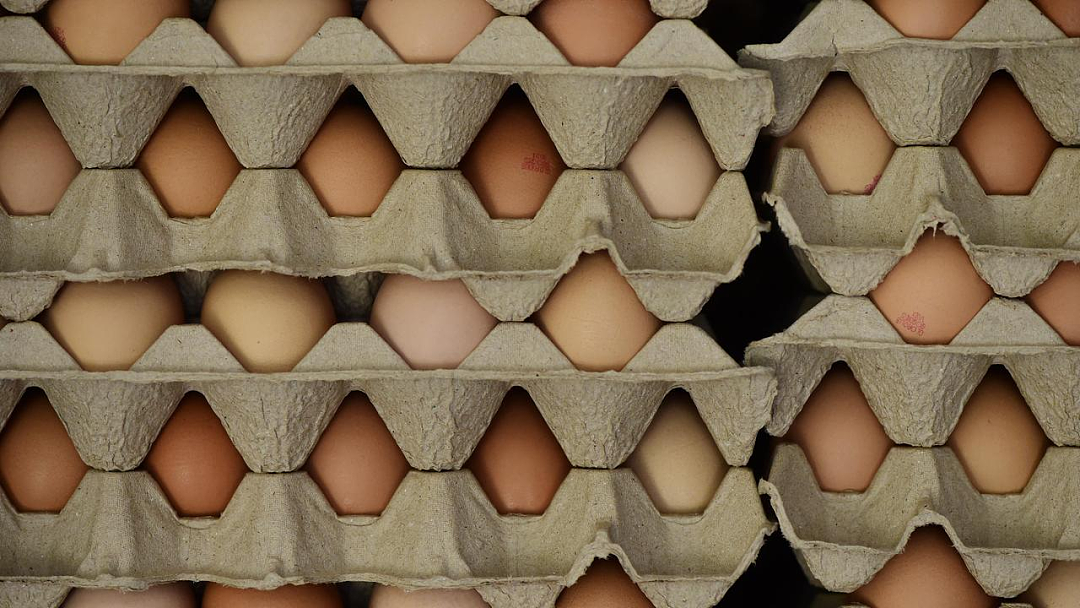 要命！澳洲鸡蛋价格即将暴涨，一盒$15真的吃不起了（组图） - 5