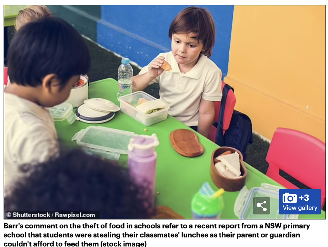 澳媒爆料：500万的澳洲人买不起食物，有孩子上课时饿晕了？总理紧急发声：政府正在努力，比欧美情况好多了（组图） - 14