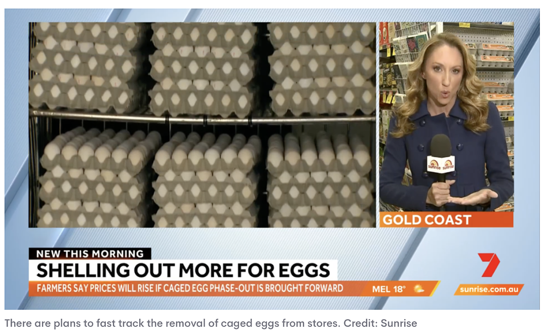 一盒$15澳币！澳洲超鸡蛋价格或将暴涨，便宜蛋再也买不到了...（组图） - 2