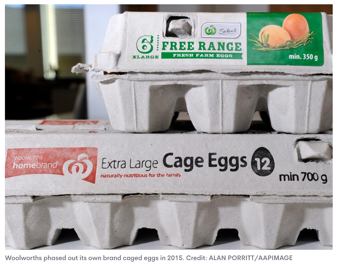 一盒$15澳币！澳洲超鸡蛋价格或将暴涨，便宜蛋再也买不到了...（组图） - 3