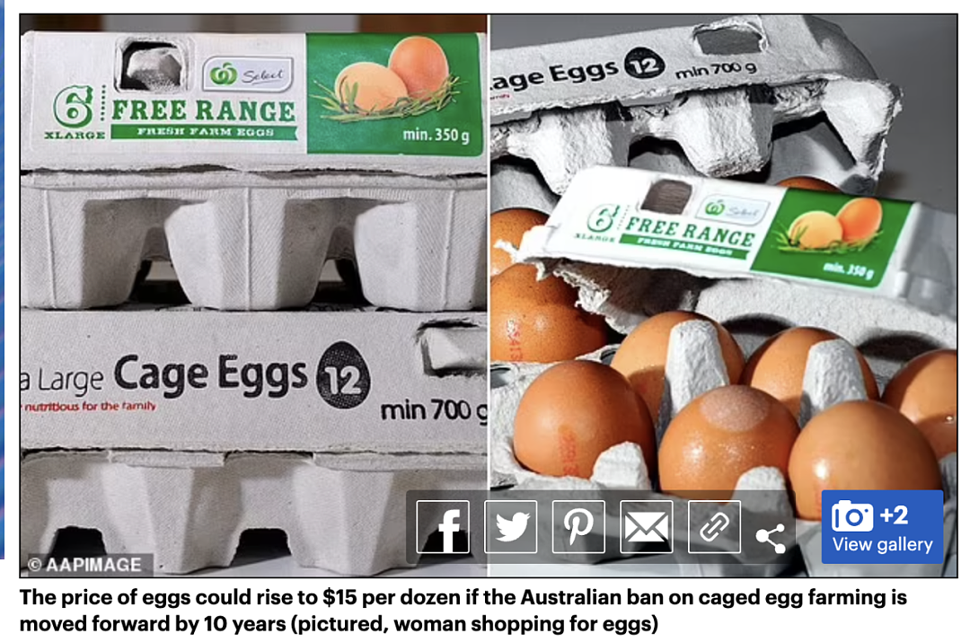 一盒$15澳币！澳洲超鸡蛋价格或将暴涨，便宜蛋再也买不到了...（组图） - 4