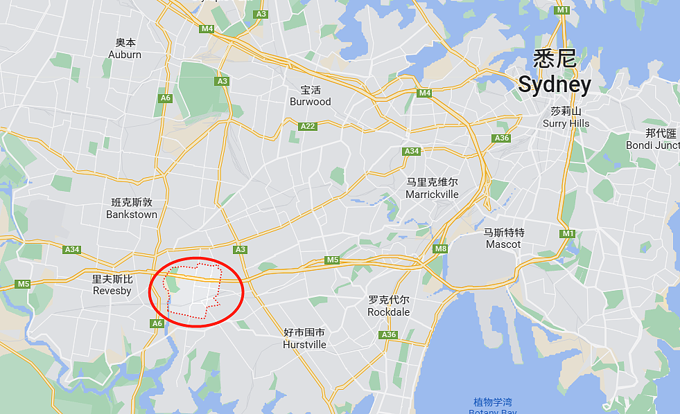 悉尼1死6伤重大车祸，华人自述捡回了一条命！肇事现场，悉尼父亲怒扇儿子，结果…（组图） - 22