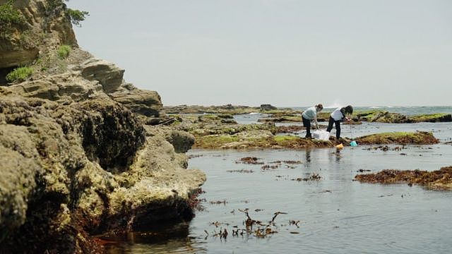 福岛核废水：在科学数据面前，当地居民仍恐惧“看不见的敌人”（组图） - 2