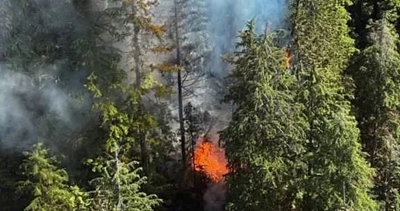 特鲁多哀悼！ 加拿大山火狂烧，19岁消防员殉职，“热穹顶“再袭北美（组图） - 19