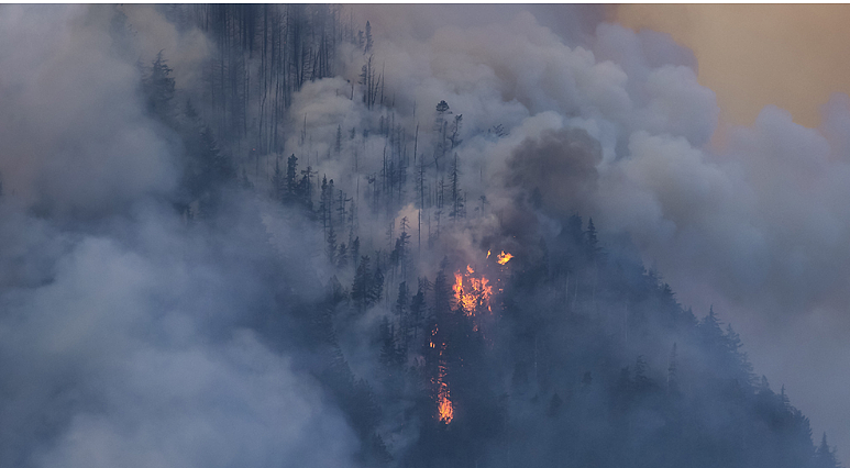 特鲁多哀悼！ 加拿大山火狂烧，19岁消防员殉职，“热穹顶“再袭北美（组图） - 11