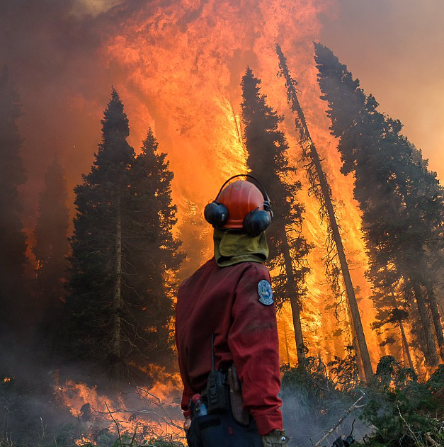 特鲁多哀悼！ 加拿大山火狂烧，19岁消防员殉职，“热穹顶“再袭北美（组图） - 18