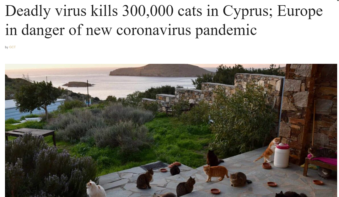 30万死！ 致死率90%的猫冠状病毒或已扩散， “有史以来最大规模“ 天堂恐变坟场（组图） - 2