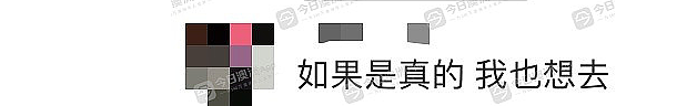 “女孩挣钱就是色情？”中国姑娘来澳打工，4年收入百万遭网暴，中澳网友都吵翻了！本人回应：身正不怕影子斜（组图） - 8