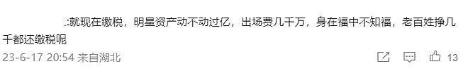 吕丽萍：“中国对明星征税太高，我等于是白干一辈子！”网友：身在福中不知福（组图） - 17
