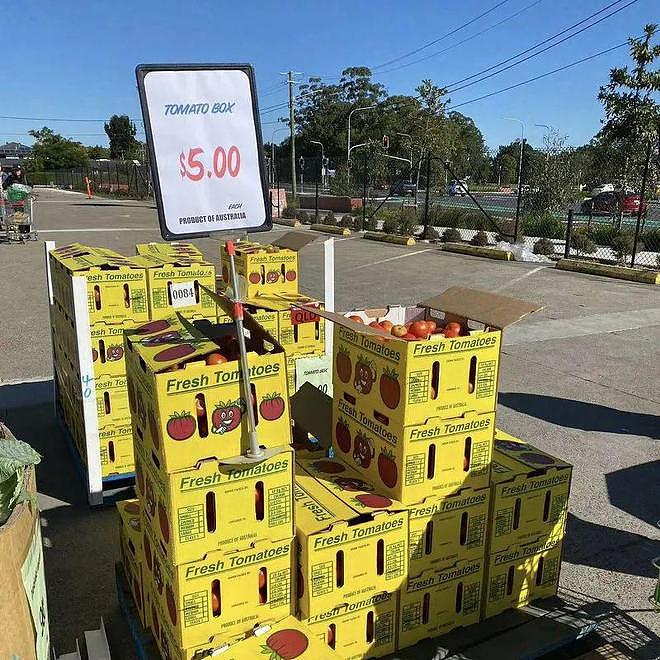 果蔬“镶金边”了？NZ年通胀率下降，食品价格却涨上天！对比澳洲，新西兰人都不淡定了......（组图） - 10