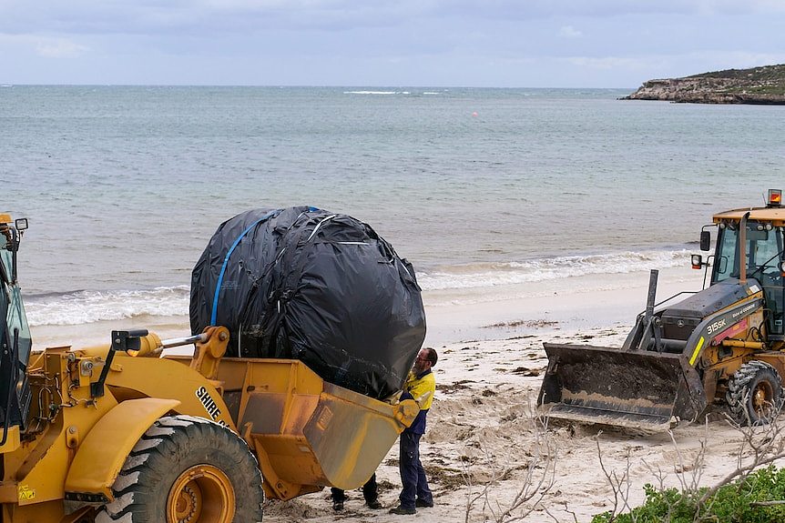 西澳州海滩突现“大罐子” 或为20年前印度火箭碎片（图） - 2
