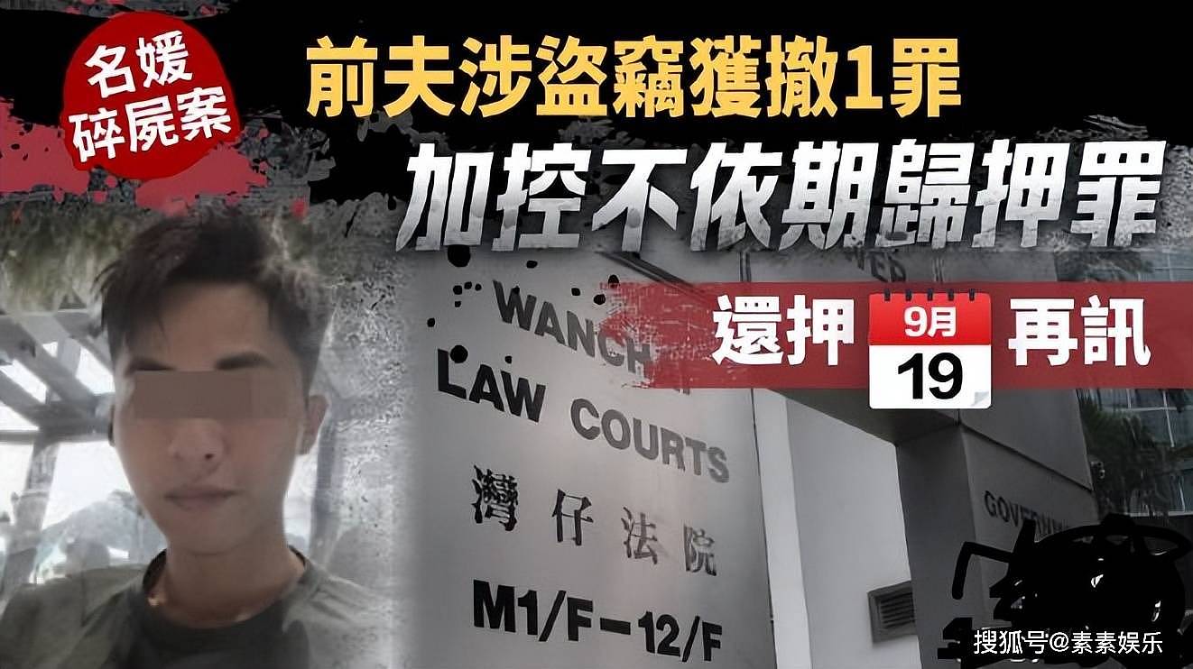 蔡天凤前夫再获重罪，关押至9月开审，其他帮凶也将受罚（组图） - 3
