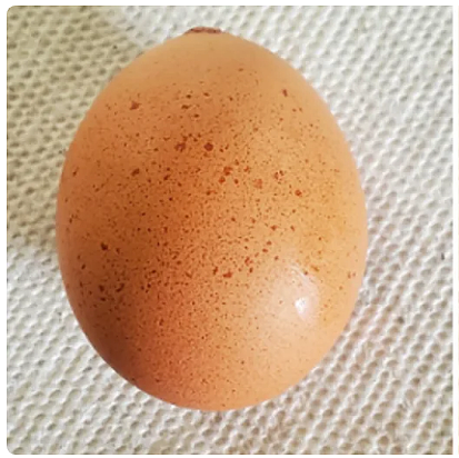 澳女发现买来的鸡蛋上长满颗粒状凸起，专家：到底能不能吃？（组图） - 3