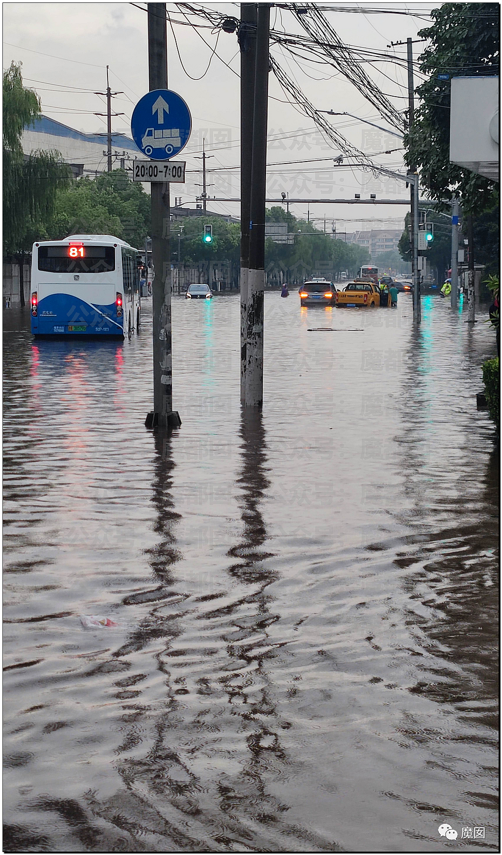 残暴大雨猛击国内各地！积水淹死人、大量汽车抛锚、电动车趴窝（组图） - 53