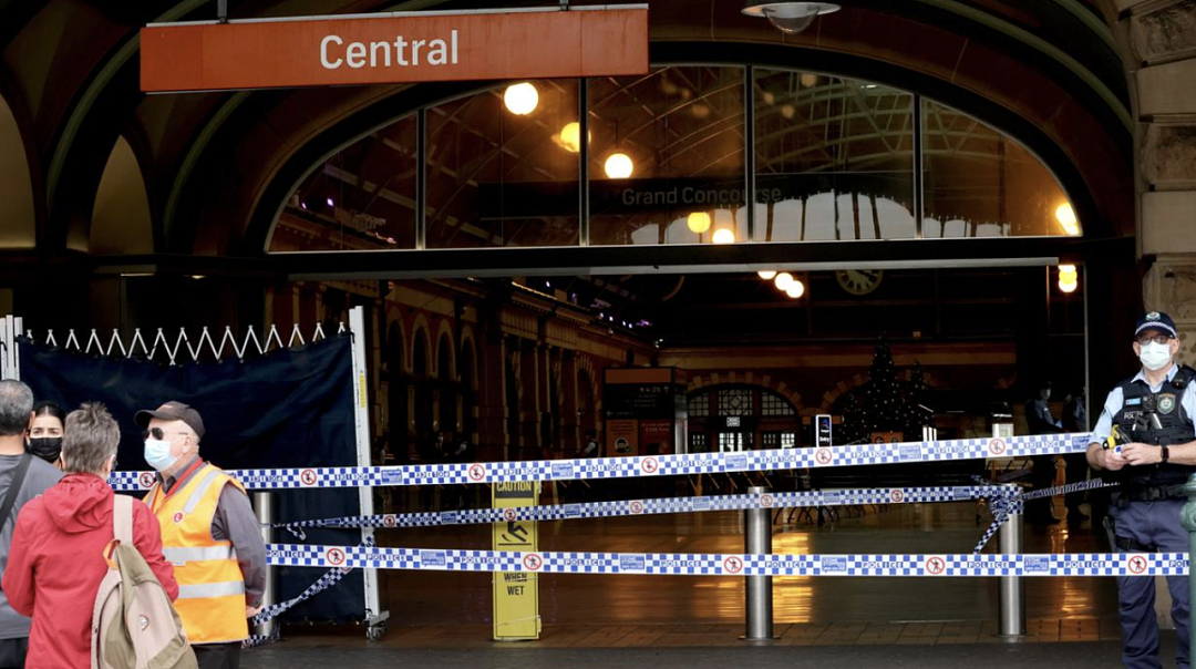 “只恨没杀死他”！悉尼74岁老人在Central火车站，持刀猛刺女婿！被判入狱8年，后悔没砍死他...（组图） - 5