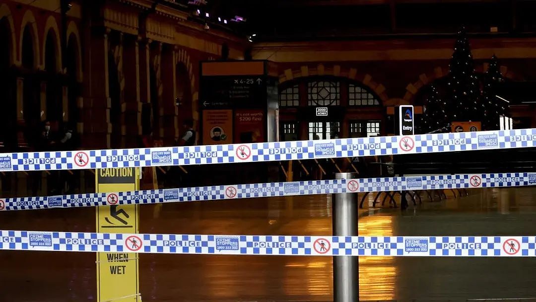 “只恨没杀死他”！悉尼74岁老人在Central火车站，持刀猛刺女婿！被判入狱8年，后悔没砍死他...（组图） - 14