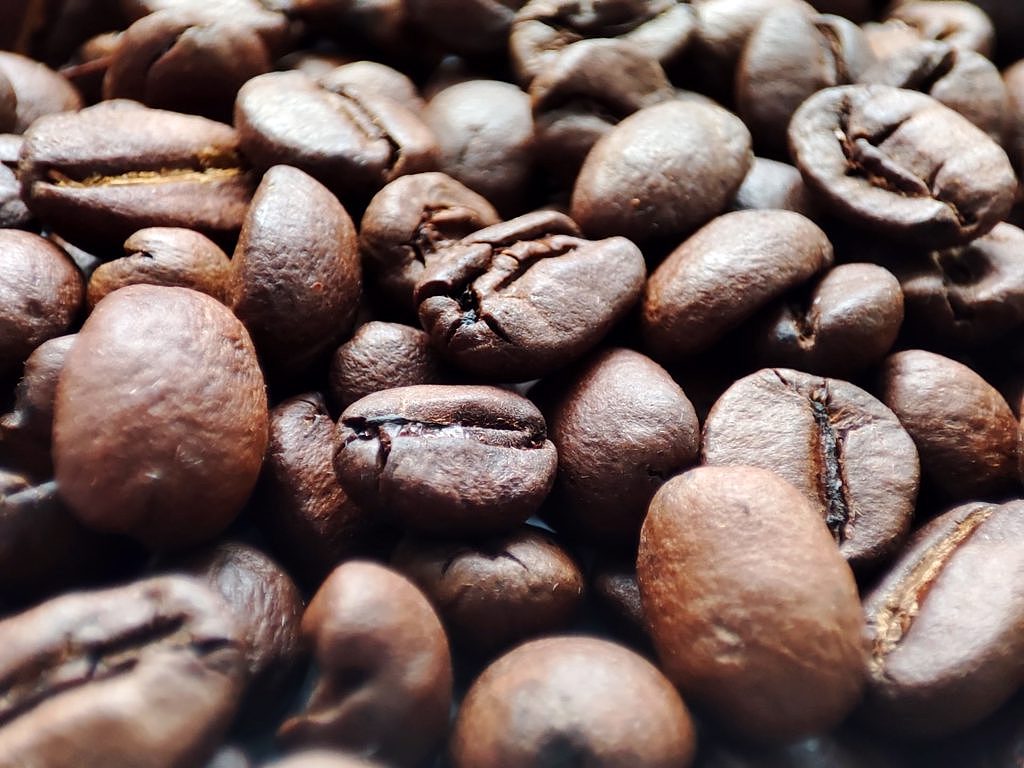 研究显示，浓缩咖啡成份可对抗失智症因子（图） - 1
