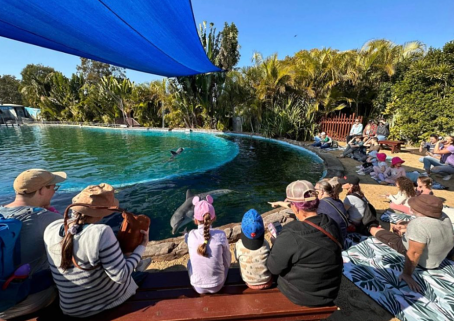 太难了！澳洲最古老海豚公园宣布破产！呼吁游客捐款援助！知名社媒平台也要有重大变化（组图） - 5