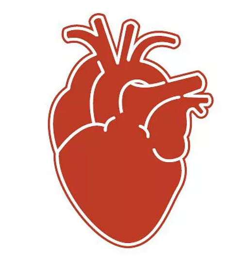 年纪越大心脏病风险越高，医生：50岁起，应培养的护心习惯（图） - 1