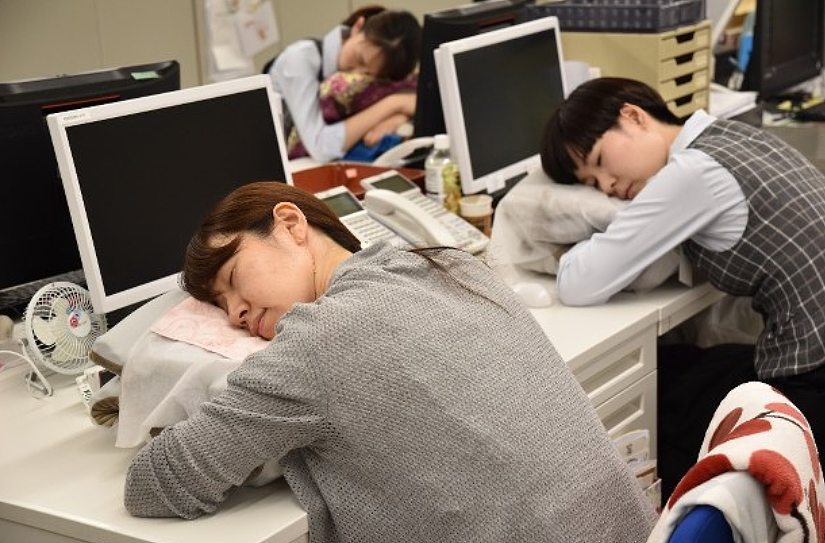 日本一老板曝光越南员工午睡现场：吓死我了！网友：羡慕哭了，我也想拥有...（组图） - 3