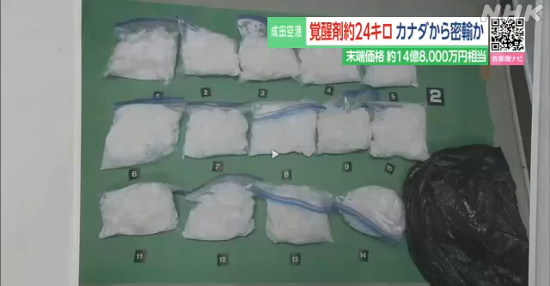 华人女子行李被查出8125万毒品被捕，被判死刑！当事人却毫不知情（组图） - 3