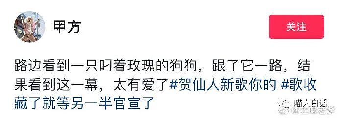 【爆笑】“骂讨厌的人不小心被当场抓包后...”哈哈哈哈哈感觉是我会做的事（组图） - 37