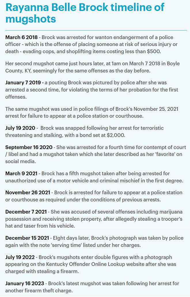 美国妹子因入狱照太太太美爆火，5年被捕了11次，经历震惊网友（组图） - 9