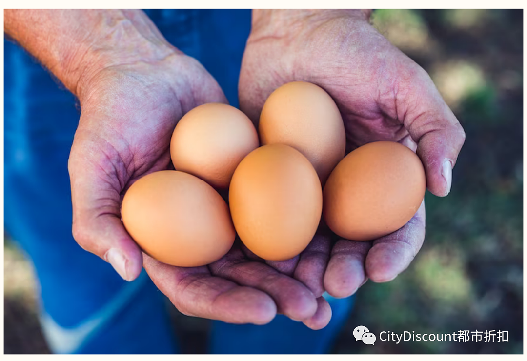 鸡蛋供应紧张！高投入成本加剧海外禽流感威胁，市场迫切需求散养鸡蛋（组图） - 3