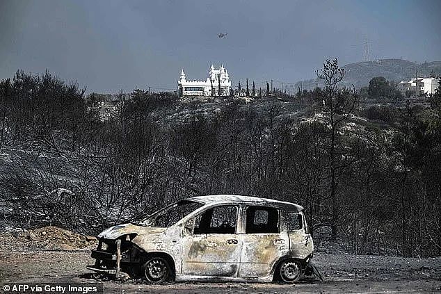炼狱模式！希腊12天爆发500起山火，上万游客步行12小时逃离火灾…（组图） - 40