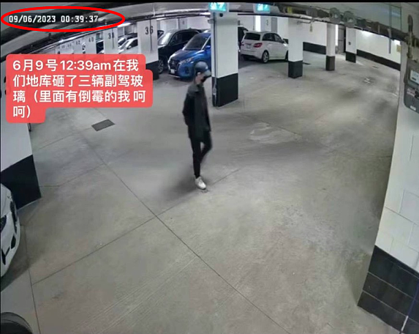 公寓停车场遭砸车盗窃团伙“血洗“：十几辆车被砸，大批华人豪车中招（组图） - 10