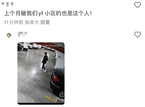公寓停车场遭砸车盗窃团伙“血洗“：十几辆车被砸，大批华人豪车中招（组图） - 8