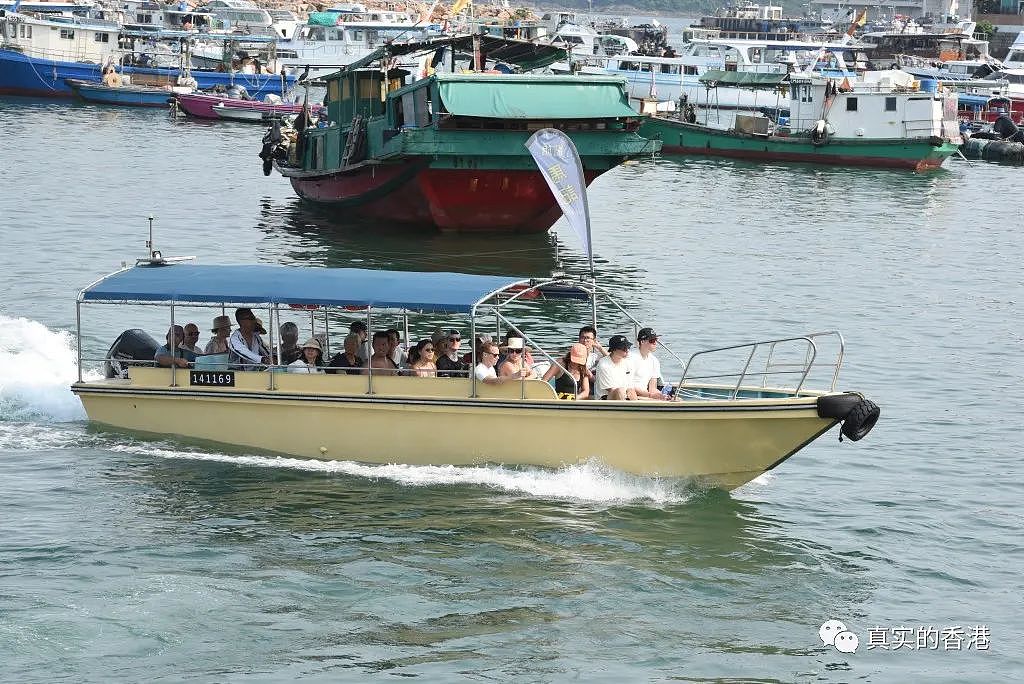 香港海域出现鲸鱼，市民围观惊动港府！（组图） - 11