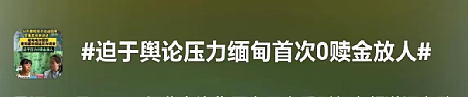 河南记者卧底缅北120天解救6人，细节披露：这群幕后的人，早该曝光了（组图） - 2