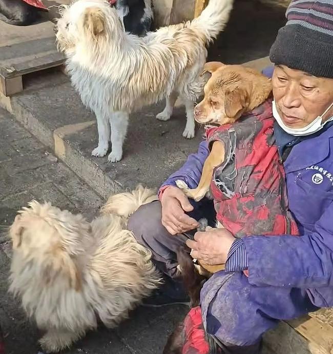 过得“狗都不如”的大学老师，刺痛了网友的心（组图） - 1