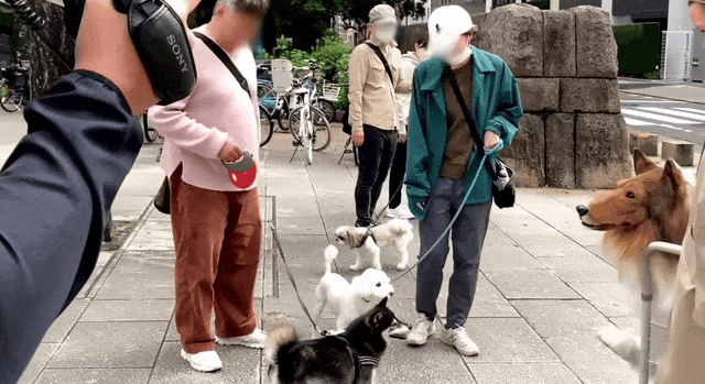 日本男砸200万“变成狗“，还出门想跟狗狗交朋友…狗：根本不敢靠近！（组图） - 13