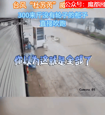“大树连根拔、街道变泳池、民宅变敞篷”！台风登陆晋江后一片狼藉（视频/组图） - 37