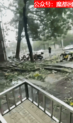 “大树连根拔、街道变泳池、民宅变敞篷”！台风登陆晋江后一片狼藉（视频/组图） - 36