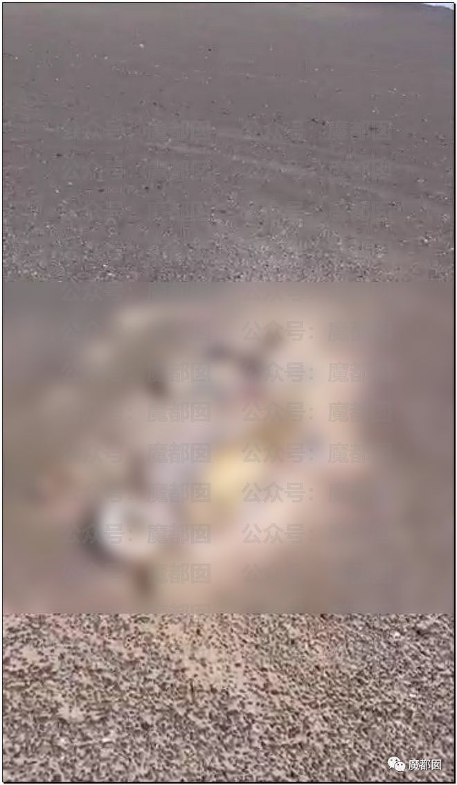 领队违规带队进新疆神秘罗布泊致多人死亡，当地警方通报（组图） - 61