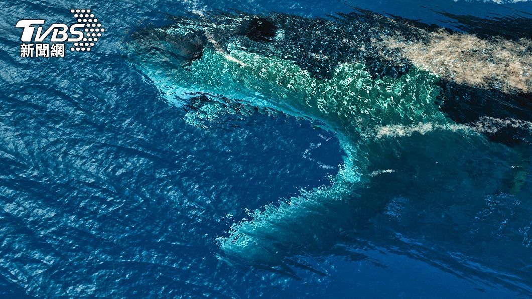 出生就2公尺长！幼巨齿鲨子宫内互吞，嗜血性格成海洋霸主（组图） - 3