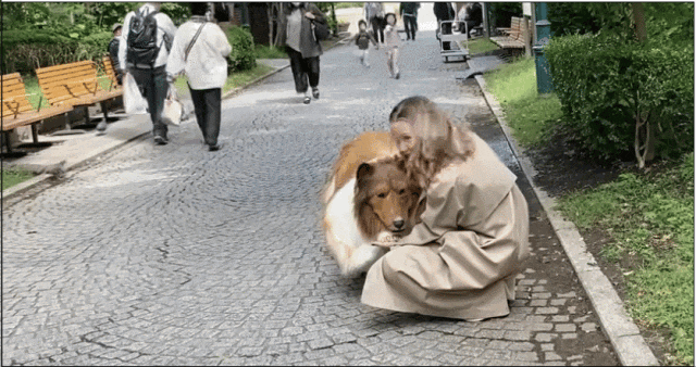 日本男子砸200万变成狗被人牵着在街上遛，视频火遍外网！网友：真的狗看了都害怕（组图） - 8
