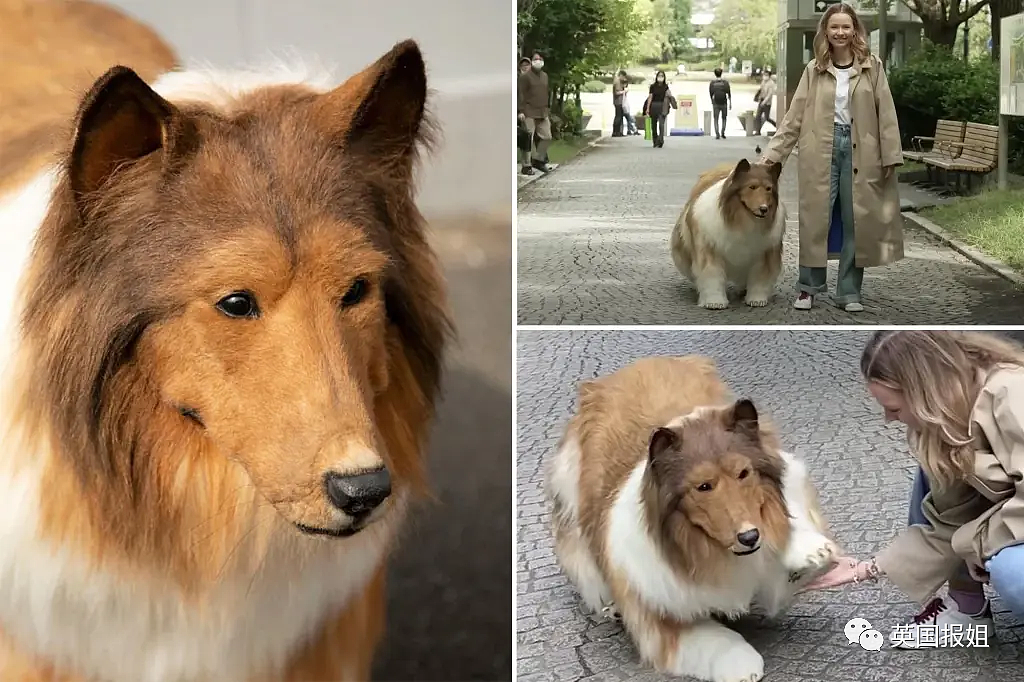 日本男子砸200万变成狗被人牵着在街上遛，视频火遍外网！网友：真的狗看了都害怕（组图） - 3