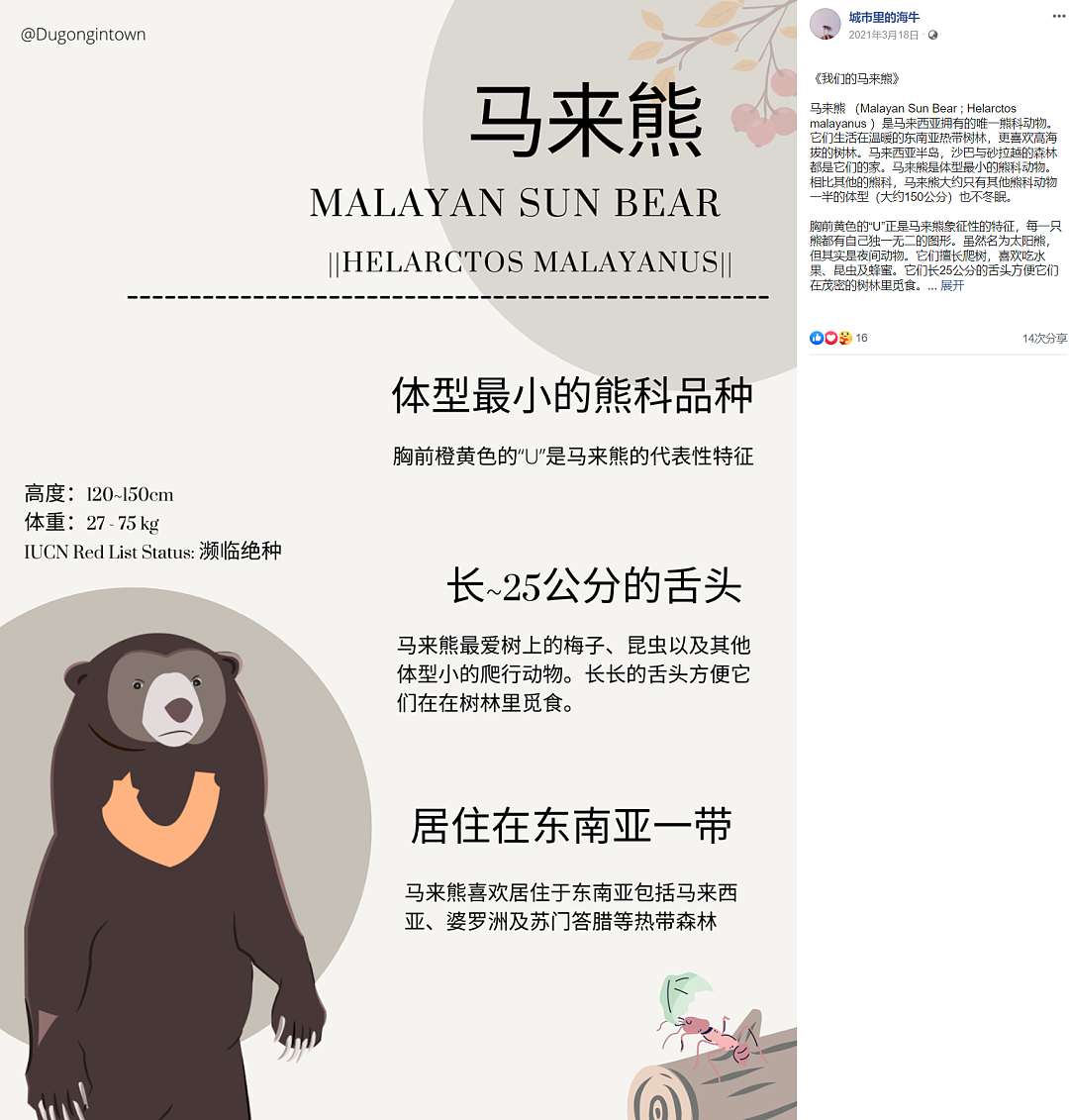 ​熊在山中坐，热搜从天降，会站着会踮脚，杭州动物园火遍全球的马来熊引发关注（组图） - 8