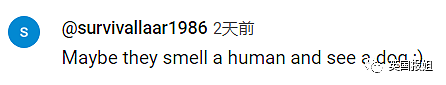 日本男子砸200万变成狗被人牵着在街上遛，视频火遍外网！网友：真的狗看了都害怕（组图） - 16