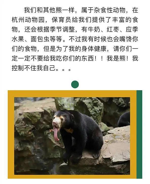 中国动物园黑熊被外国网友质疑是人假扮！官方辟谣，结果熊猫又遭殃了...（组图） - 17