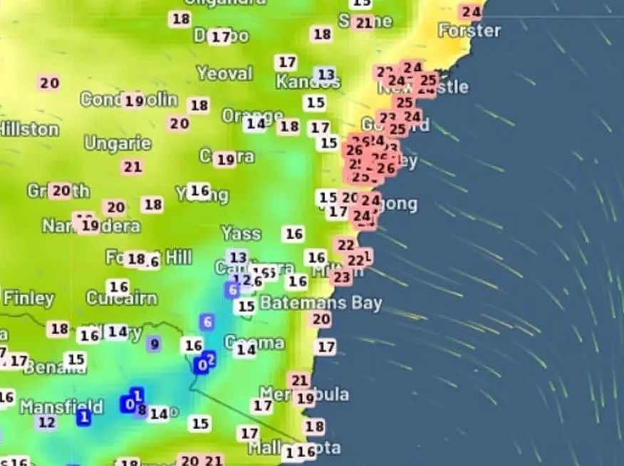 今年的7月异常热！澳多地开启“烧烤”模式，部分地区气温直逼30度（组图） - 2